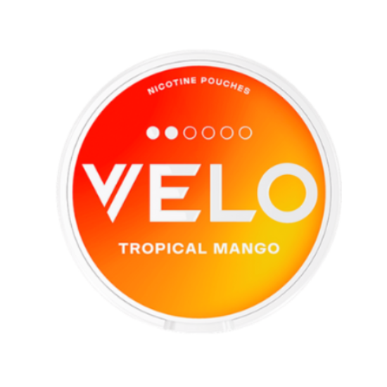 VELO TROPICAL MANGO